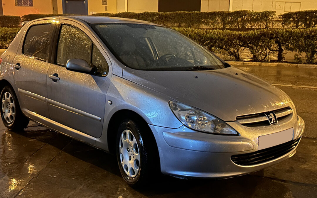 Explorando la Ingeniería Detrás del Peugeot 307 de 2004: Características Técnicas y Variantes
